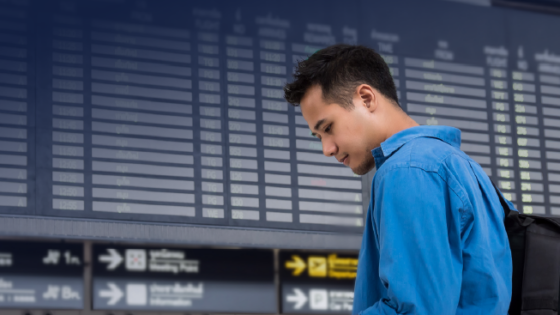 100% digital air travel
