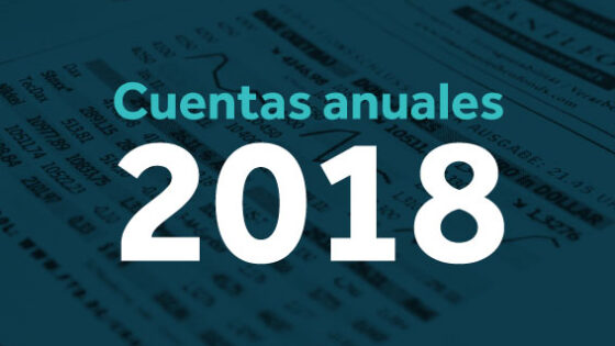 2018 annual results