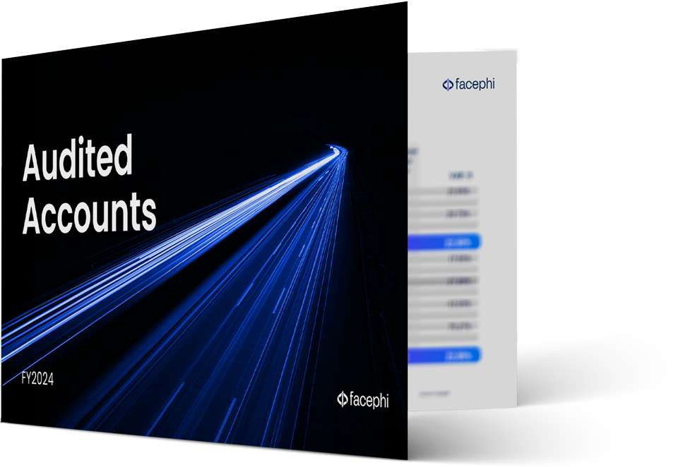 Mockup Audited accounts