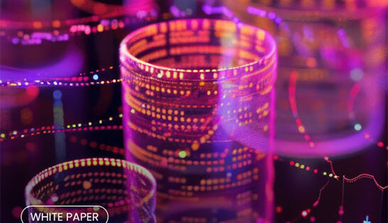 Portada del whitepaper Verificación Digital de la Identidad (IDV) para proveedores de servicios de criptoactivos 